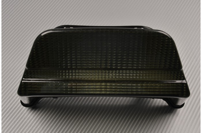 Assembly Tail Light KAWASAKI ZRX 1100 / 1200