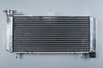 Radiator HONDA HORNET 600 / S 1998 - 2006