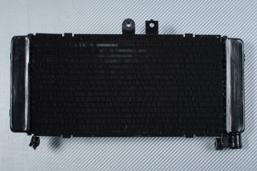Radiator HONDA HORNET 900 2002 - 2007