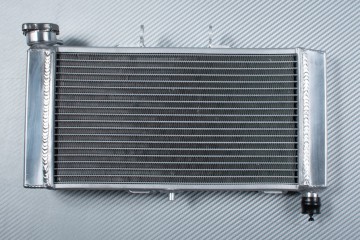 Radiator HONDA NC 700 750 S / X / INTEGRA 2012 - 2020