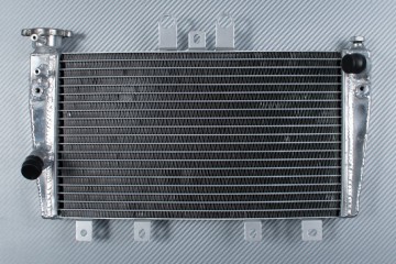 Radiateur TRIUMPH SPEED TRIPLE 1050 2005 - 2010