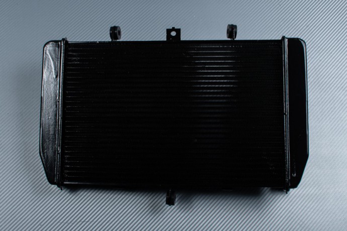 Radiator KAWASAKI Z1000 / Z1000SX / VERSYS / NINJA 1000 SX 2010 - 2023