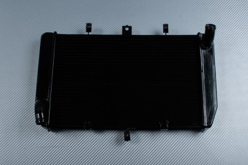 Radiator KAWASAKI Z1000 / Z1000SX / VERSYS / NINJA 1000 SX 2010 - 2023