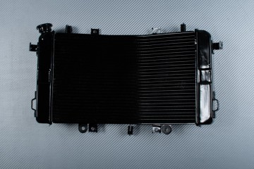 Radiateur SUZUKI BKING 1340 2007 - 2014
