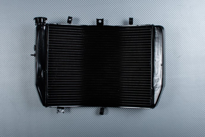 Radiator SUZUKI 