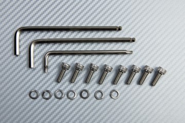 Escape TWO BROTHERS Titanio/ Magnesio YAMAHA  YZF R1 2004 - 2006