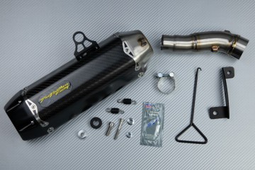 Escape TWO BROTHERS Carbono KAWASAKI NINJA 300 R / Z300 2011 - 2016