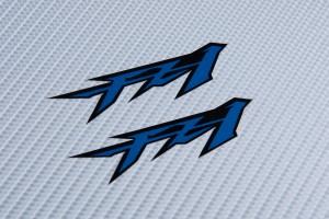 Stickers FZ1