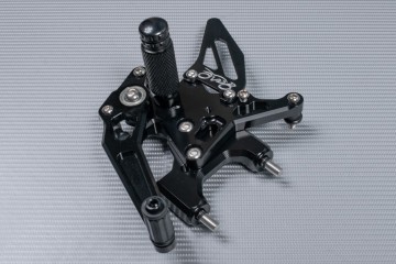 Estriberas Retrasadas AVDB DUCATI PANIGALE 959 2016 - 2019