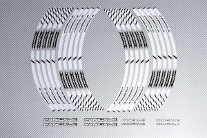 Stickers de llantas Racing DUCATI - Modelo PANIGALE