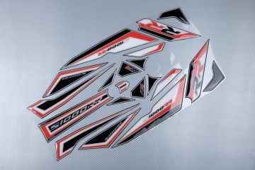 Adesivo Carena posteriore BMW S1000RR 2015 - 2018