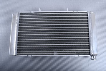 Radiator HONDA HORNET 600 / CBF 600 2007 - 2013