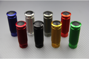 Paire de Repose-pieds pour commandes Reculées