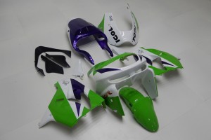 Komplette Motorradverkleidung KAWASAKI ZX9R 1998 - 1999