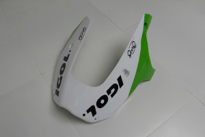 Komplette Motorradverkleidung KAWASAKI ZX9R 1998 - 1999