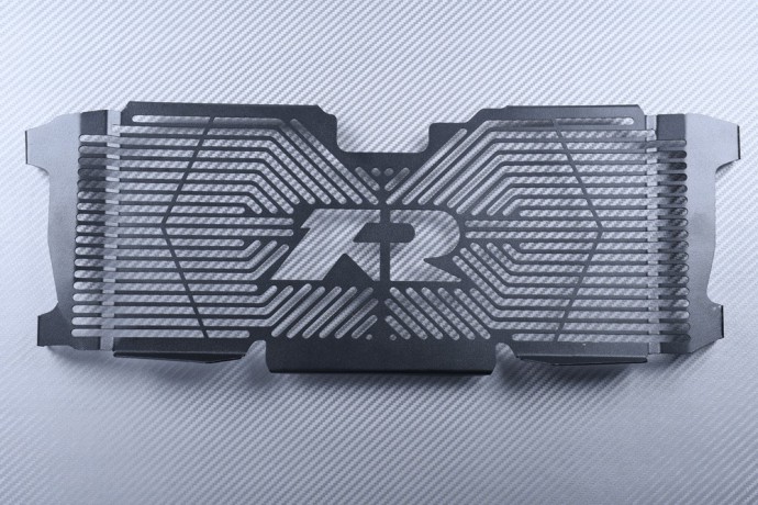 Radiator protection grill BMW R1200R R1250R
