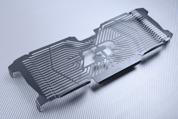 Rejilla protectora del radiador BMW R1200R R1250R