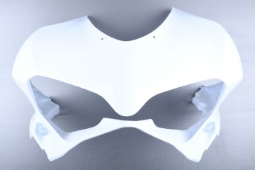 Front Nose Fairing DUCATI PANIGALE 959 / 1299 2015 - 2019