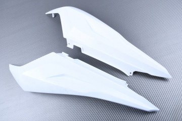 Rear fairing for APRILIA RS 125 2006 - 2011