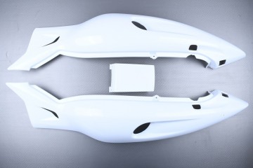 Rear fairing for YAMAHA YZF 600 THUNDERCAT 1997 - 2004