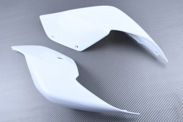 Rear fairing for DUCATI PANIGALE 959 / 1299 2015 - 2019