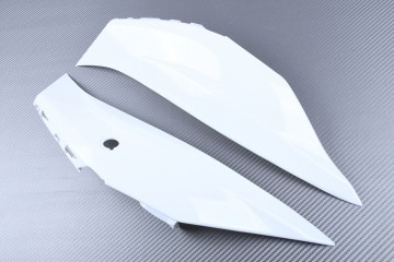 Heckverkleidung KAWASAKI ZX10R ZX10RR 2016 - 2020