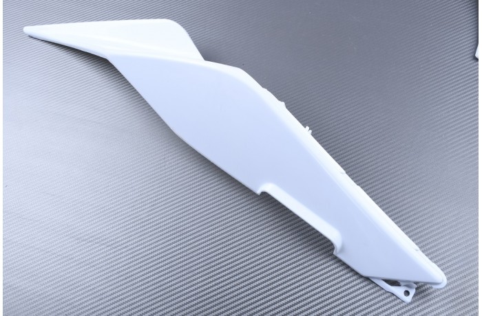 Rear fairing for APRILIA RS4 50 / 125 2011 - 2026