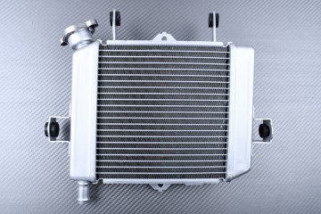 Radiator SUZUKI GSX-S 125 / GSXR 125 2017 - 2021