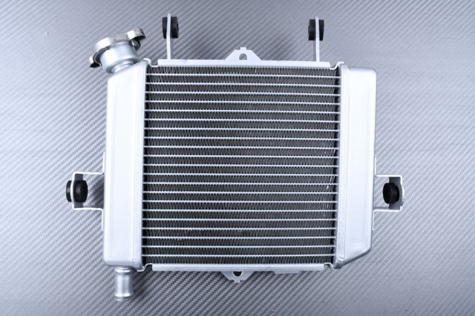 Radiator SUZUKI GSX-S 125 / GSXR 125 2017 - 2021