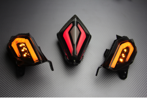 PACK Piloto Trasero + Intermitentes delanteros y traseros YAMAHA TMAX 530 2012 - 2016