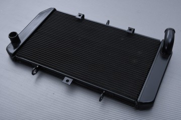 Radiador BENELLI BN600 2012 - 2016