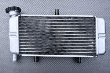 Radiateur HONDA CBR 250 / 300 R 2011 - 2017