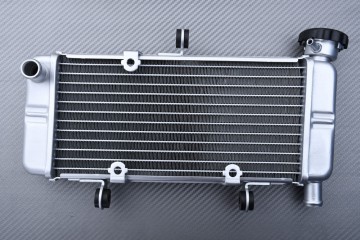 Radiator HONDA CBR 250 / 300 R 2011 - 2017