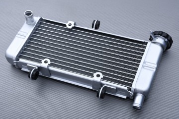 Radiator HONDA CBR 250 / 300 R 2011 - 2017