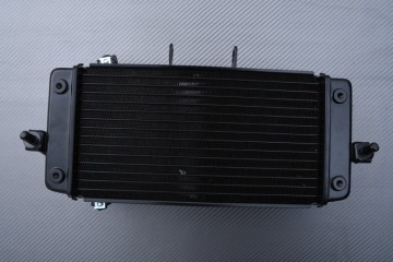 Radiador SUZUKI GSXR 250R / VSTROM 250 / INAZUMA 250 2013 - 2021