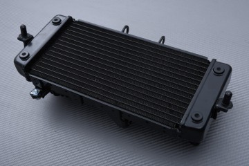 Radiator SUZUKI GSXR 250R / VSTROM 250 / INAZUMA 250 2013 - 2021
