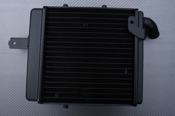 Radiadors BENELLI TNT 899 / 1130 / R160 2004 - 2016