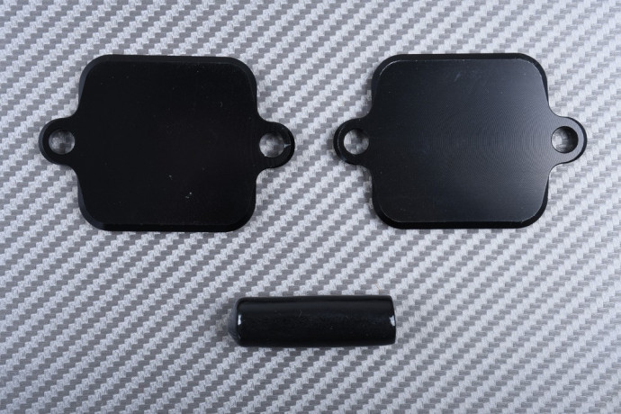 Smog block off plates KAWASAKI Z1000 / Z800 / Z750 / ZX6R / ZX10R / ZZR 1400