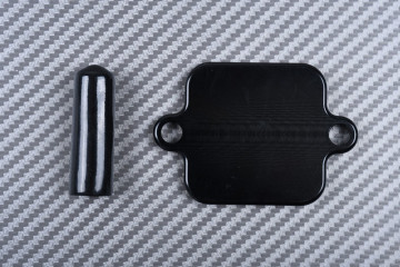 Kit para quitar el sistema anti polución KAWASAKI ER6 N / F / Ninja 250 / 300 / 650 / Z300 / Z650 & Versys