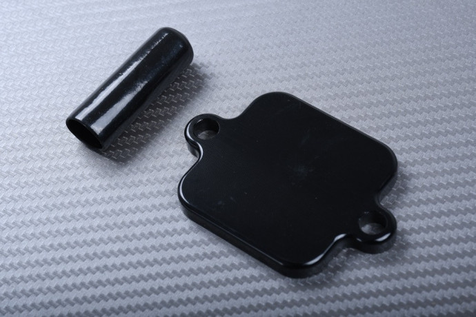 Kit para quitar el sistema anti polución KAWASAKI ER6 N / F / Ninja 250 / 300 / 650 / Z300 / Z650 & Versys