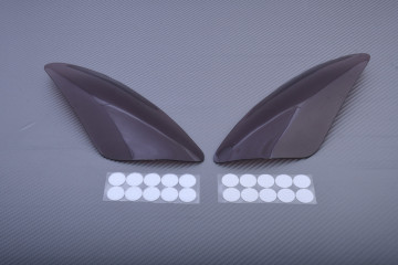 Copri faro di tipo Road YAMAHA YZF R1 2002 - 2003