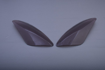 Headlight Cover Road Type YAMAHA YZF R1 2002 - 2003