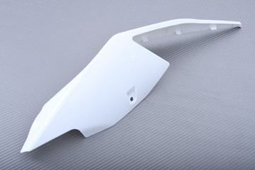 Rear fairing BMW S1000RR / M1000RR 2019 - 2021