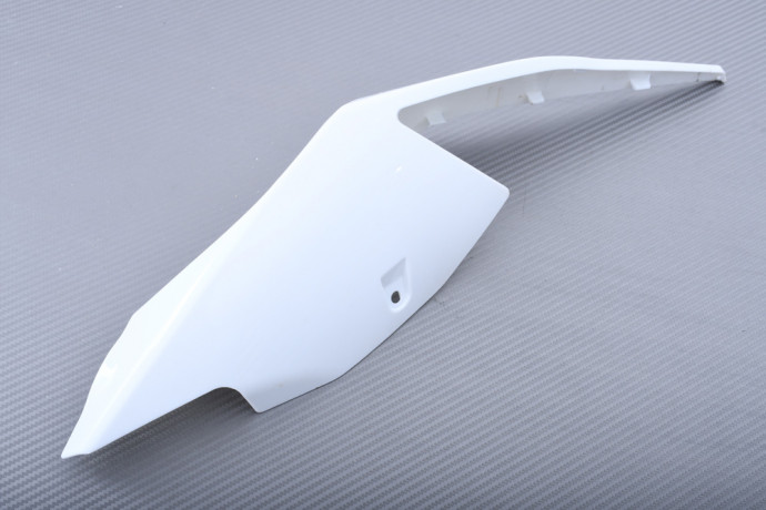 Coque arrière BMW S1000RR / M1000RR 2019 - 2021