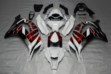 Complete Fairing set KAWASAKI ZX10R 2011 - 2015