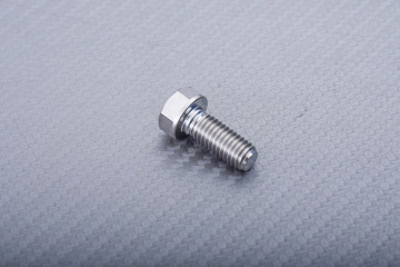 Titanium Screw for Front Brake Disc specific for APRILIA M8 X P1.25 X 20 MM