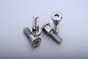 Titanium Screw for Front Brake Disc specific for SUZUKI M8 X P1.25 X 33 MM
