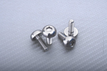 Vis en titane pour disque de frein avant spécifique pour HONDA M6 X P1.00 X 17 MM