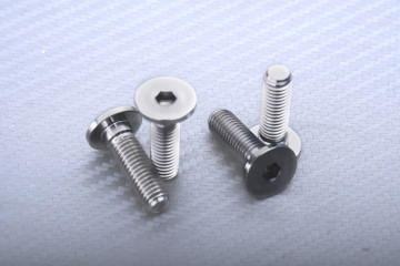 Titan Bremsscheibenschraube vorne spezifisch für BMW M8 X P1.25 X 26 MM