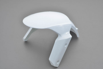 Parafango Anteriore KAWASAKI ZX10R 2011 - 2015